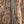 Blacktip Tomahawk Custom | Scalloped Carbon Fiber | Tiffany Blue Liners | Rock Texture Spine | Bronze Pins