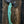 Blacktip Tomahawk (Field Test Unit) Jade G10
